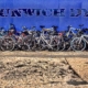 Dunwich Dynamo logo
